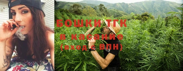 дживик Баксан