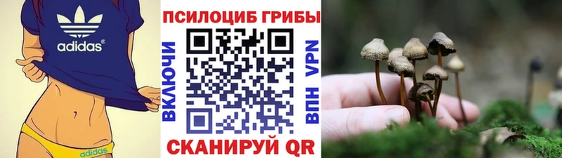 Псилоцибиновые грибы мухоморы  цена   Цоци-Юрт 